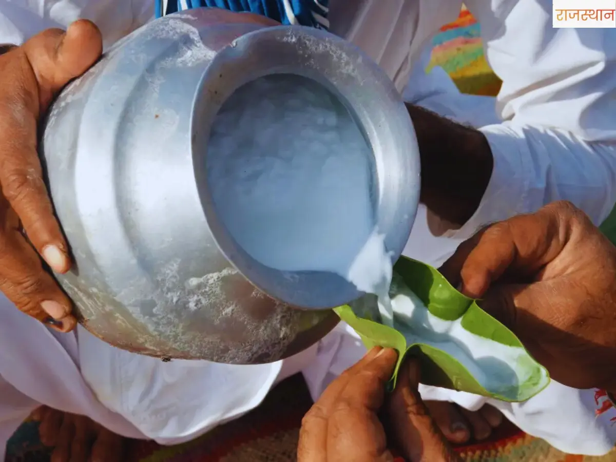 क्या आप जानते हैं गाय और ऊंट के दूध में कौन सा है ज्यादा ताकतवर? जवाब जान नहीं होगा यकीन!