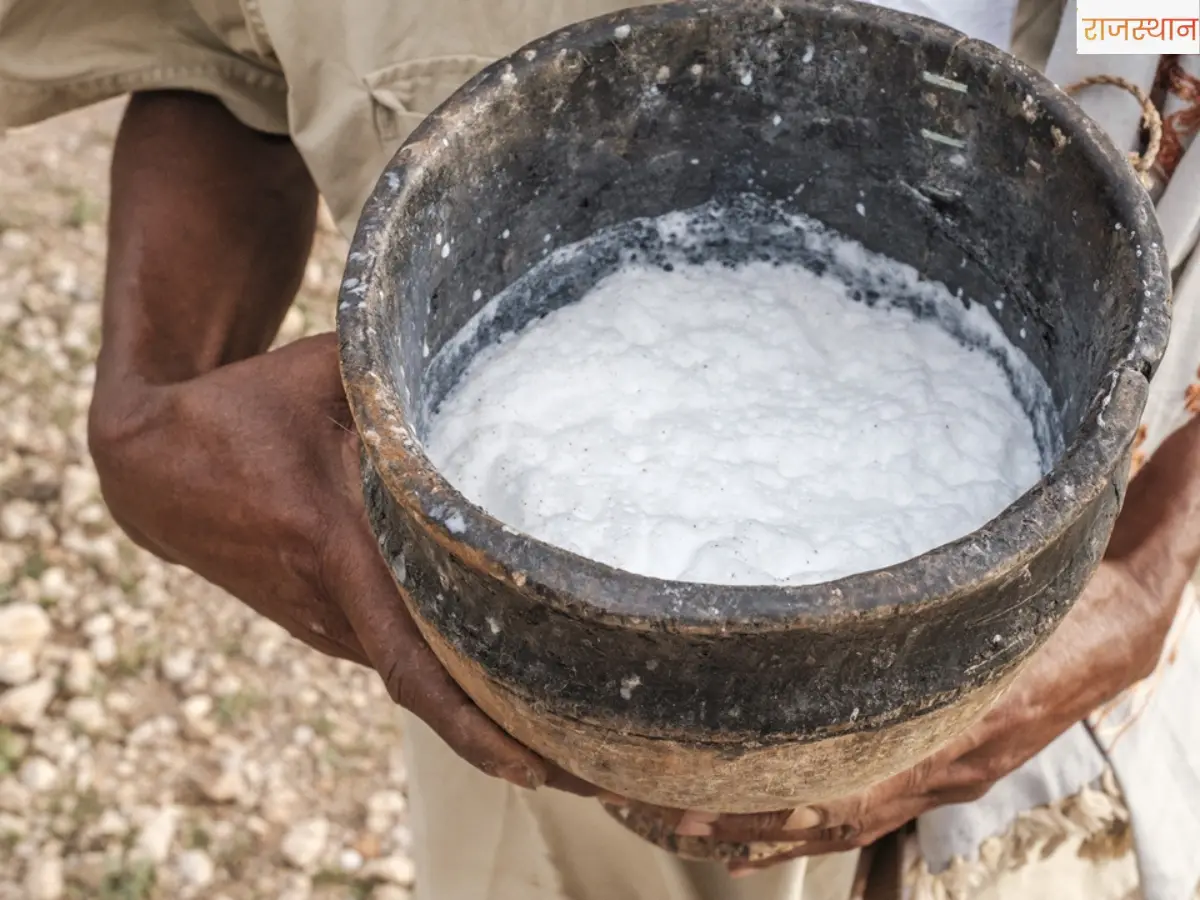 Superfood:Camel Milk vs Cow Milk