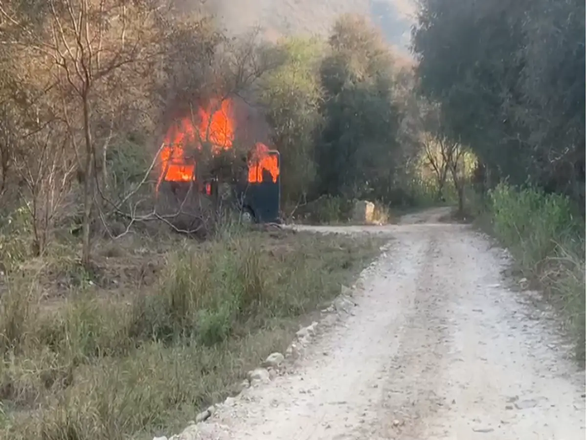 बस में लगी आग… बाहर खड़े शेर! नाहरगढ़ सफारी में मचा हड़कंप, सैलानी बाल–बाल बचे