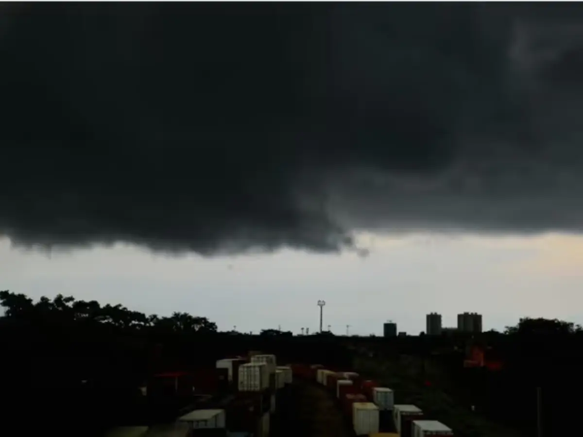 राजस्थान के इन इलाकों में घने कोहरे और शीतलहर का अलर्ट जारी, पढ़े शाम के मौसम का हाल