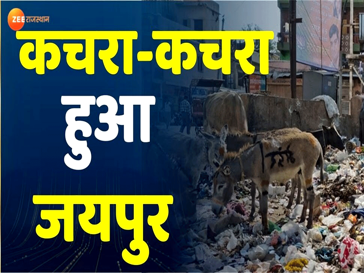 प्रवासी राजस्थानी दिवस की तैयारियों में दुल्हन की तरह सजी पिंक सिटी, वहीं, गलियों में लगे कचरे के ढेर प्रवासी राजस्थानी दिवस की तैयारियों में दुल्हन की तरह सजी पिंक सिटी, वहीं, गलियों में लगे कचरे के ढेर