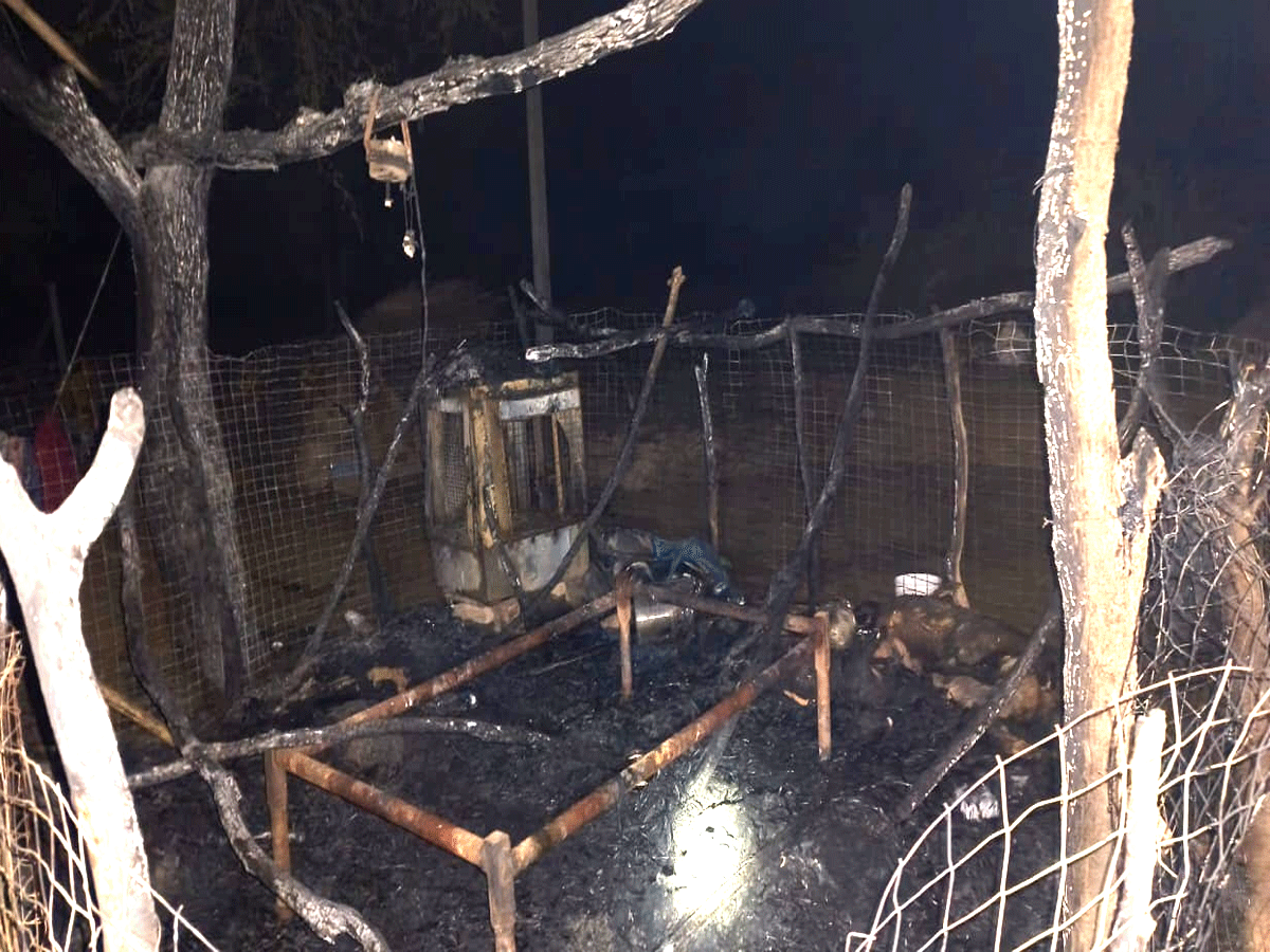 सवाई माधोपुर में दर्दनाक हादसा, शॉर्ट सर्किट से लगी आग में दो सगी बहनें जिंदा जलीं, 15 बकरियां भी राख