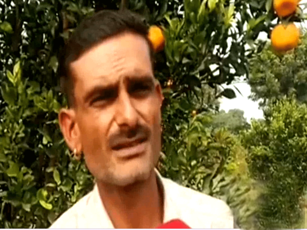 राजसमंद का ये किसान कर रहा जादुई नवाचार! मेवाड़ में संतरे की खेती से एक बीघा में कमा रहा ₹1 लाख