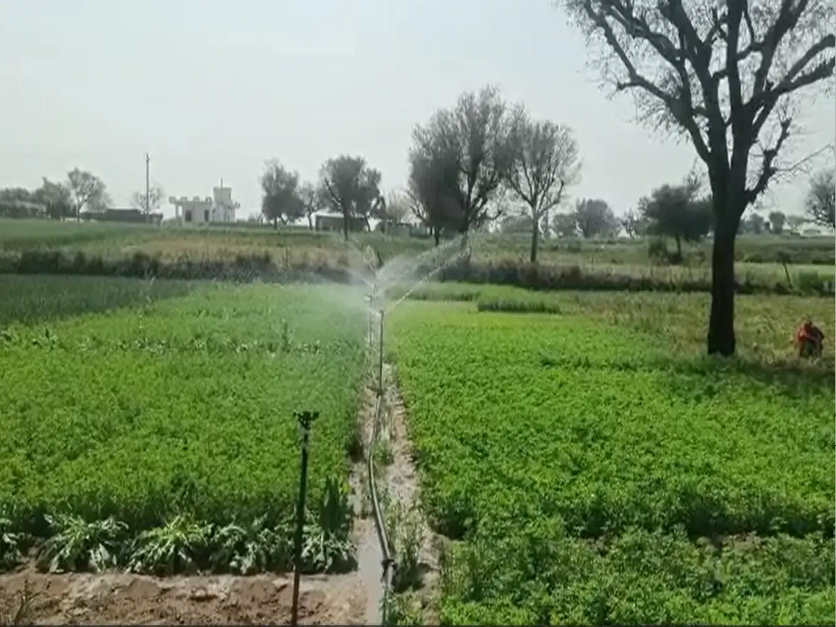 सरकार के 35 लाख करोड़ के MoU में धमाकेदार शुरुआत, कृषि क्षेत्र बना राजस्थान का सबसे बड़ा गेम चेंजर