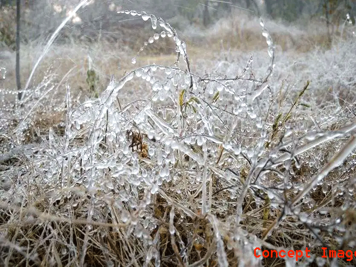 Rajasthan Weather Update: राजस्थान में कड़कड़ाती ठंड का कहर, कुंभलगढ़-सिरोही में वाहनों पर जमी बर्फ! शेखावाटी में अलर्ट जारी