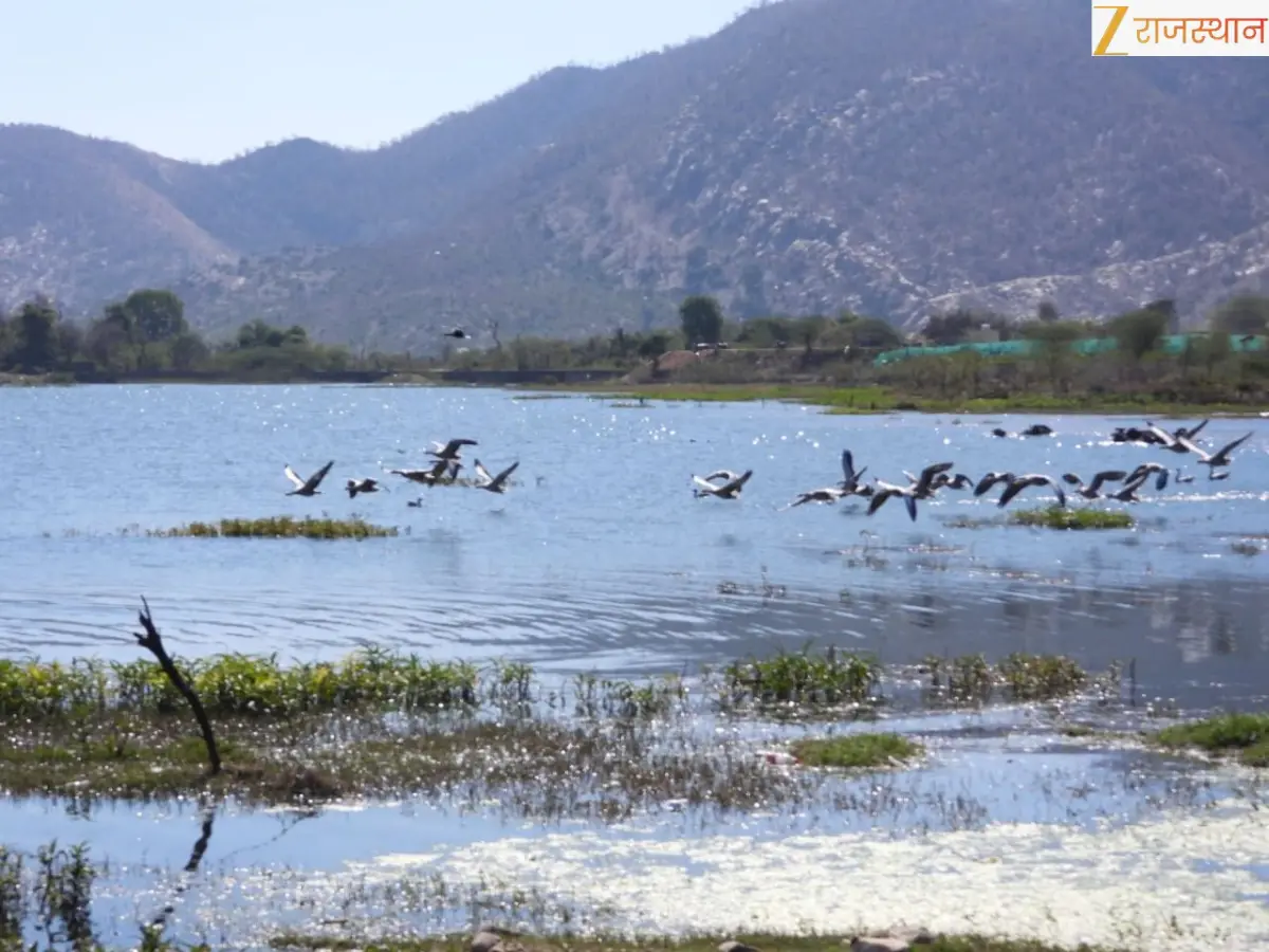 अलवर की सिलीसेढ़ झील बनी भारत का 95वां रामसर स्थल, राजस्थान को मिला 5वां दर्जा