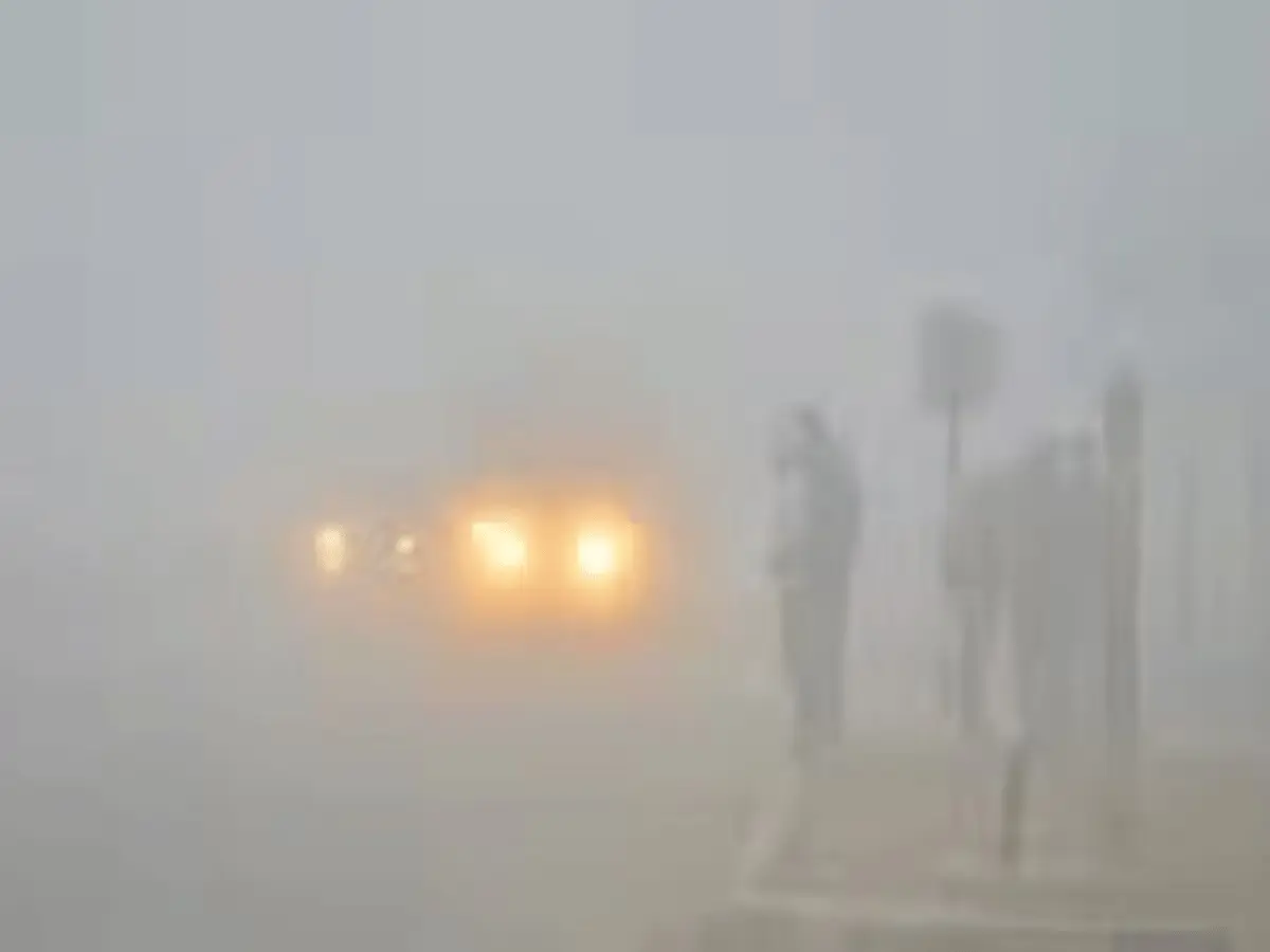 Hanumangarh Mausam: कोहरे के आगोश में हुआ हनुमानगढ़, जीरो हो गई विजिबिलिटी, चारों तरफ धुंध ही धुंध