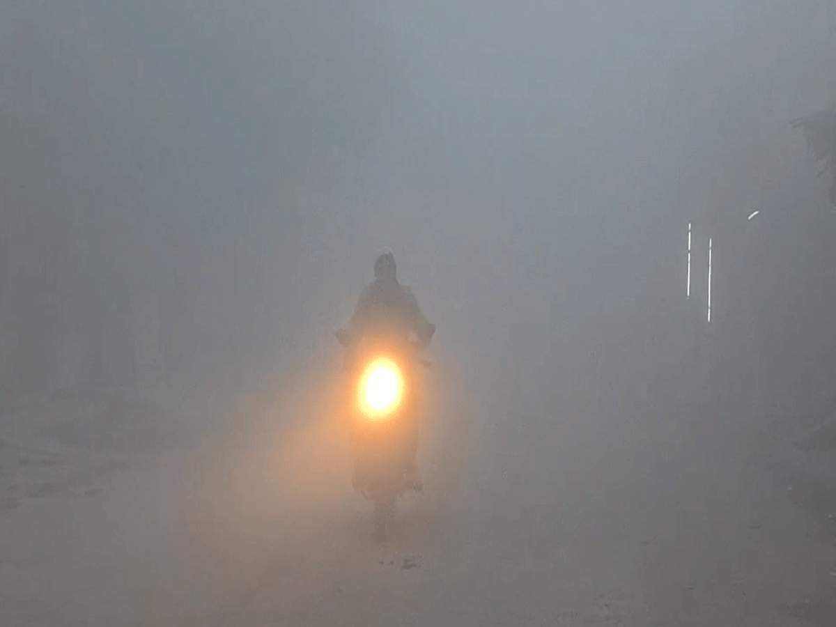 Dholpur Weather Update: कड़ाके की सर्दी से कांपे धौलपुरवासी, कोहरा छाने से थम गई वाहनों की रफ्तार Dholpur Weather Update: कड़ाके की सर्दी से कांपे धौलपुरवासी, कोहरा छाने से थम गई वाहनों की रफ्तार