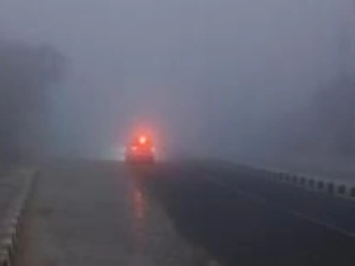Rajasthan Fog Alert: कोहरे ने धुंधला किया राजस्थान, अलवर-दौसा का बुरा हाल, जैसलमेर में तो पहले ही दिन जीरो हो गई विजिविलिटी, कुछ नहीं दिख रहा