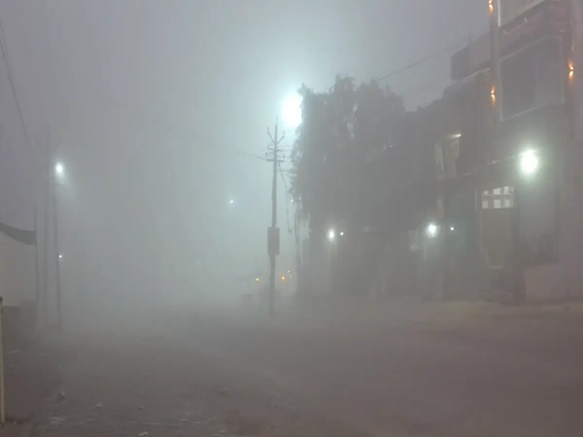 Bikaner Weather Update: बीकानेर के कड़ाके की सर्दी का असर, बज्जू इलाके में छाया घना कोहरा
