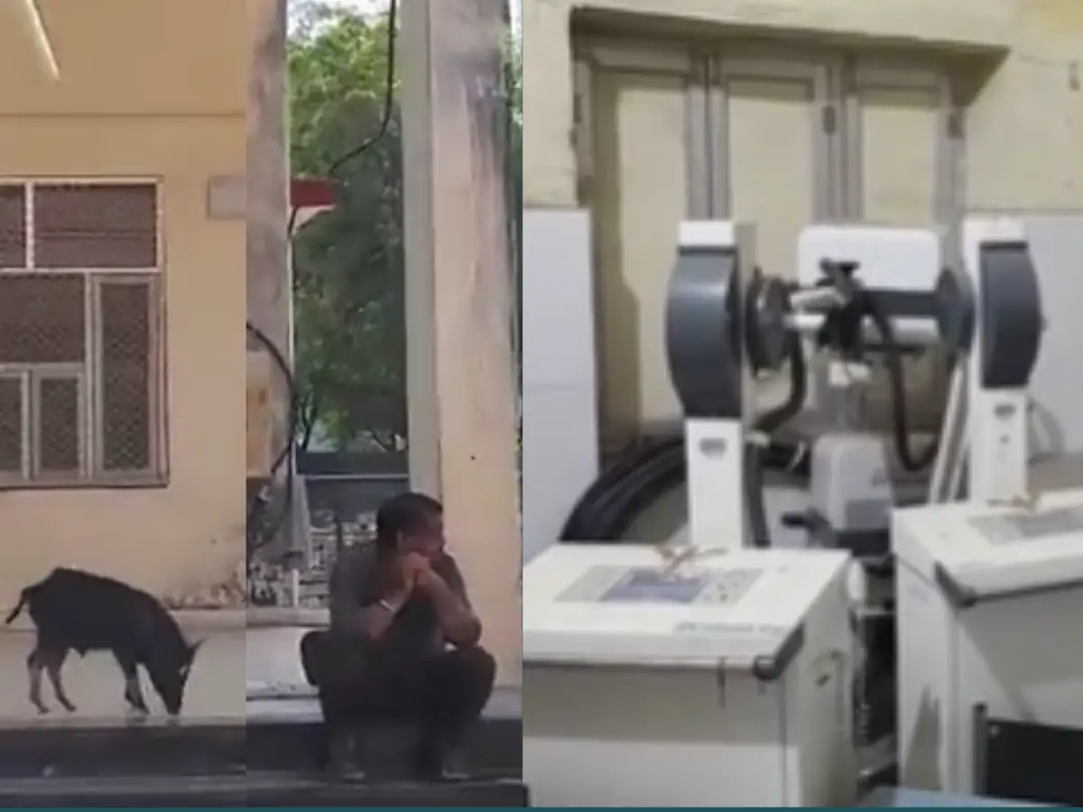Baran District Hospital: बारां अस्पताल में गंदगी का बोलबाला, मरीजों के बीच घूम रहे सूअर, एक्स-रे की मशीन ने तोड़ दिया दम