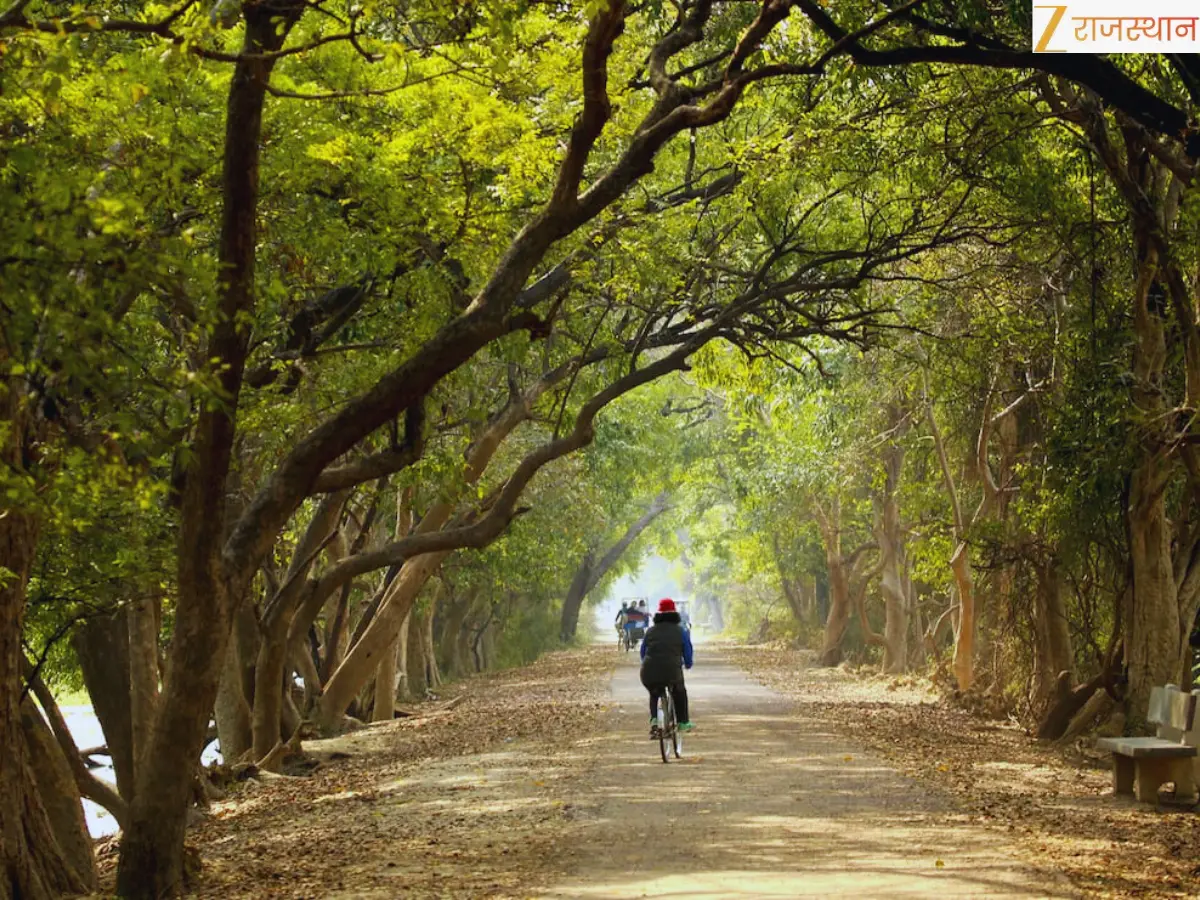 Keoladeo Ghana National Park: Bharatpur Bird Sanctuary