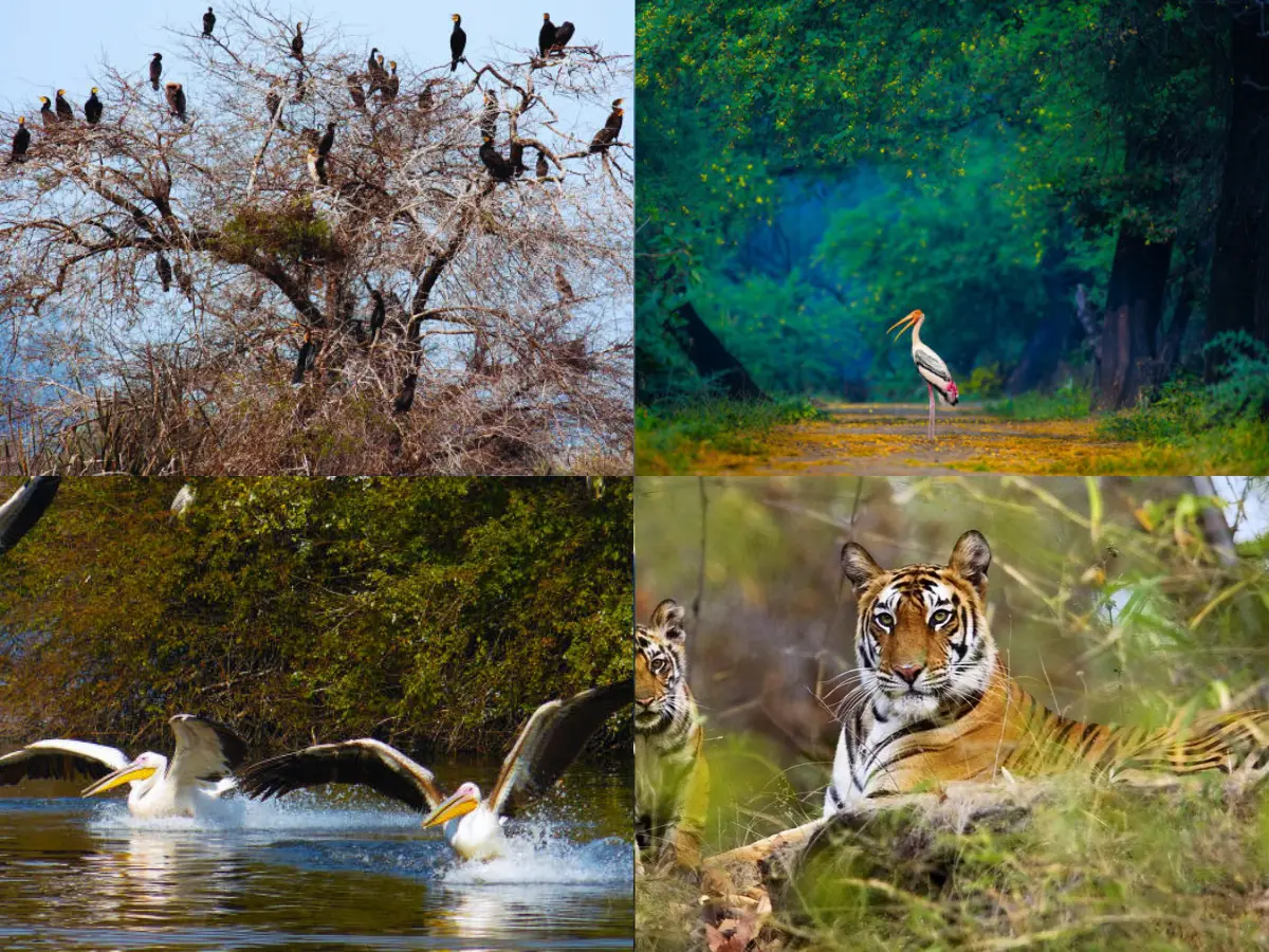 दिल्ली से कुछ ही घंटों की दूरी पर है खूबसूरत जगह, सर्दियों में यहां के नजारे मोह लेगें आपका मन