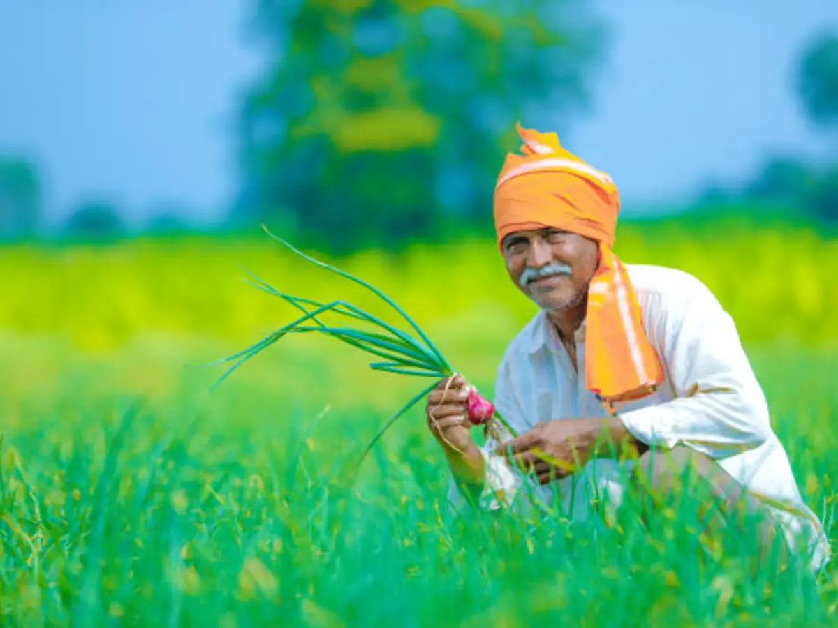 CM Kisan Samman Yojana