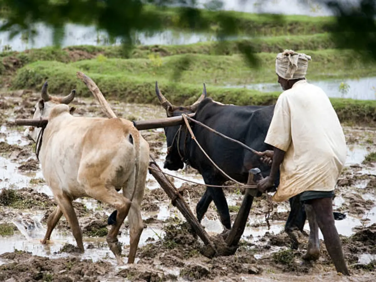 Rajasthan CM Kisan Samman Nidhi