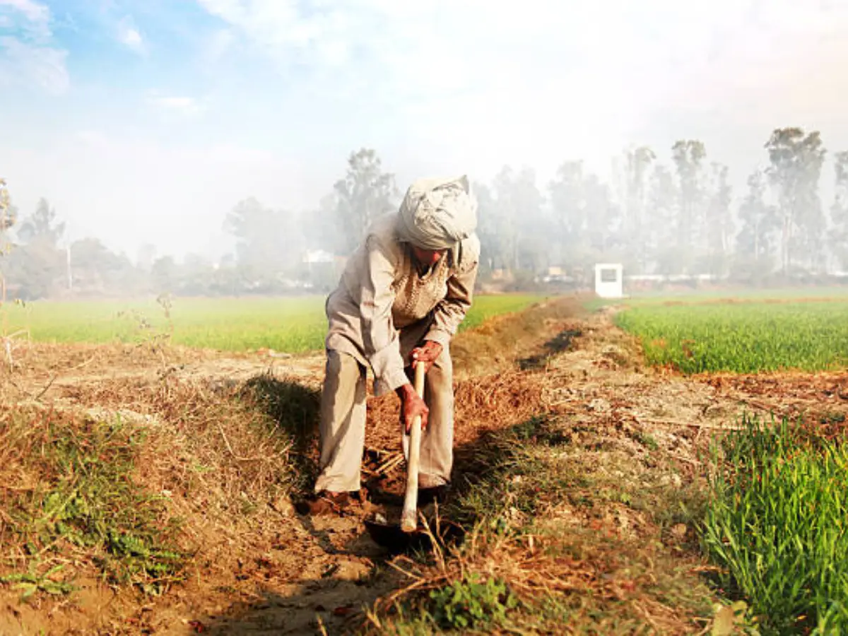 Rajasthan CM Kisan Samman Nidhi