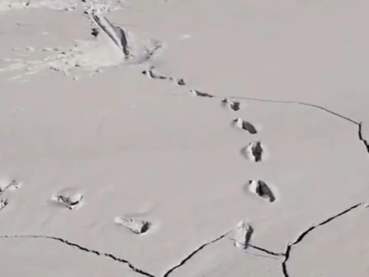 Kota News : पॉलिश के कीचड़ में घंटों फंसे रहे मासूम बच्चे, जान पर बनी लापरवाही, अब दोषियों पर सख्त एक्शन की तैयारी