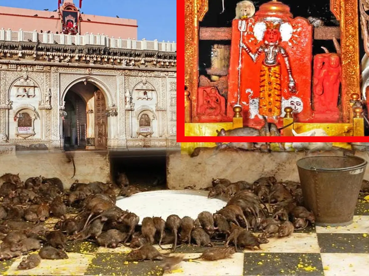 करनी माता मंदिर
