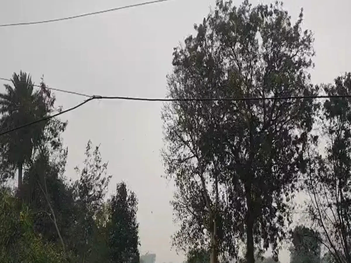 श्रीगंगानगर में बारिश के बाद बदला मौसम का मिजाज, किसानों के खिले चेहरे