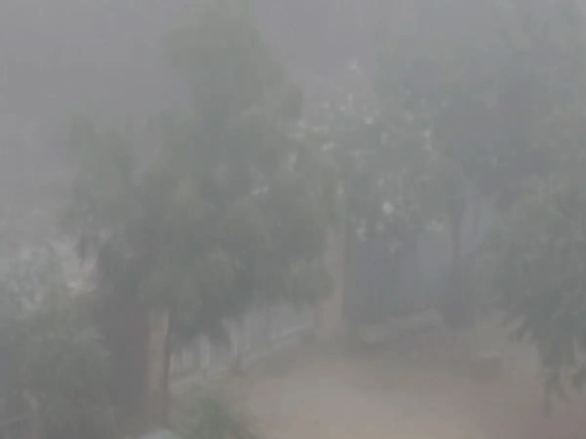 Barmer Weather Update