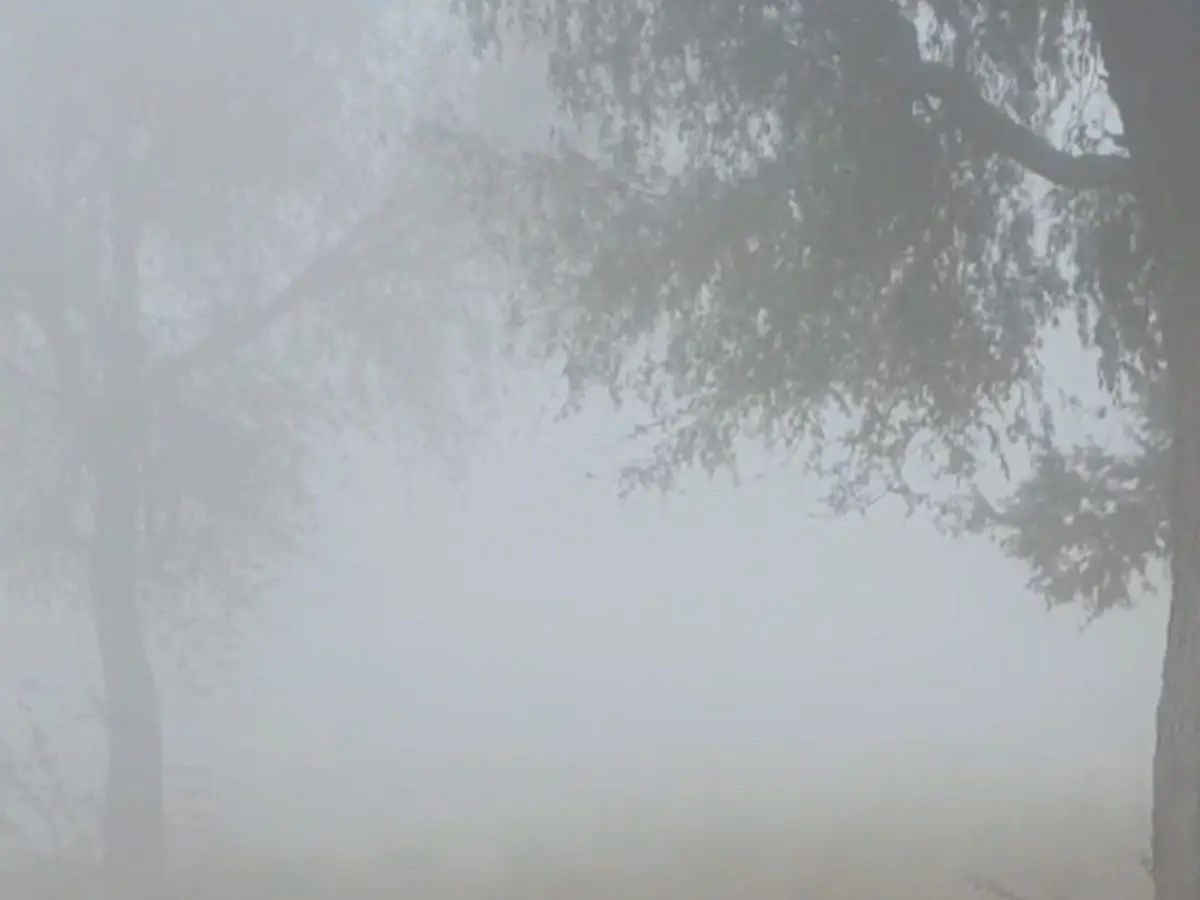 Barmer Weather Update