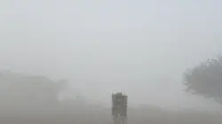 Jaipur Weather Update: जयपुर के लोगों को टॉर्चर कर रही ठंड, भयकर झाड़े ने जकड़ी राजधानी की रफ्तार, आज शाम तक हाल होगा बेहाल