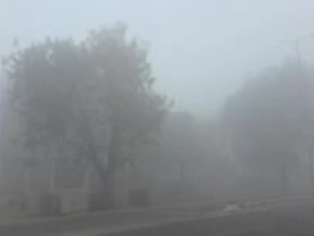 जयपुर (समग्र जिला)
