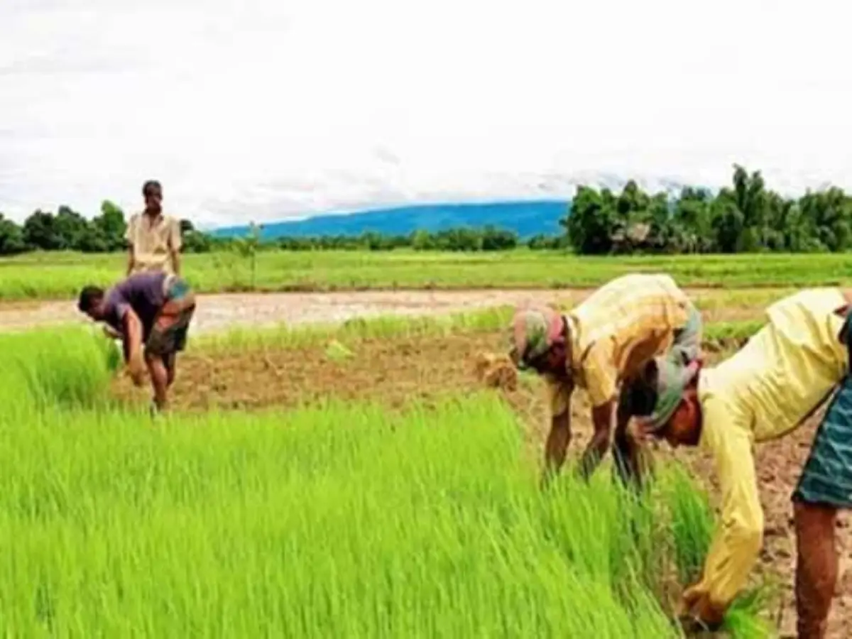 PM Kisan Samman Nidhi Yojana