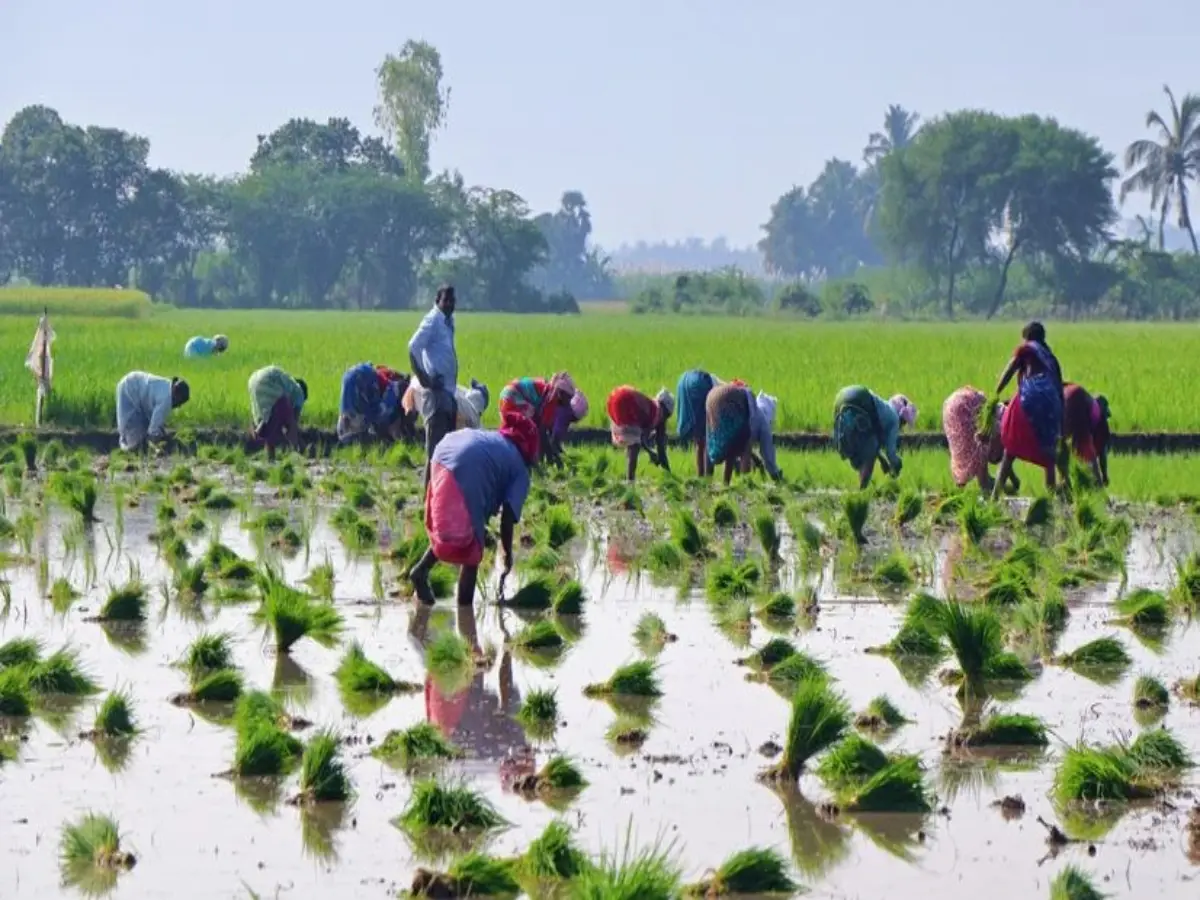 PM Kisan Samman Nidhi Yojana