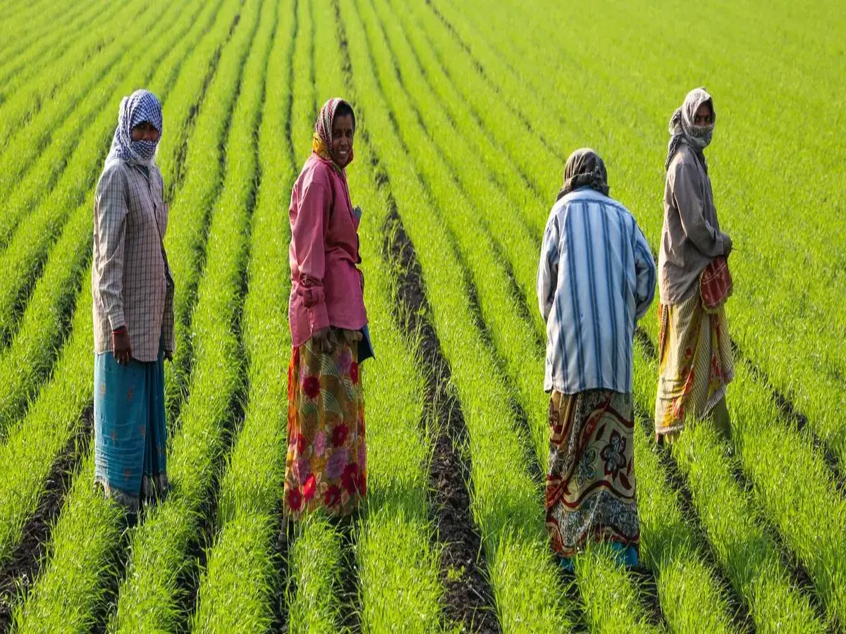 PM Kisan Samman Nidhi Yojana