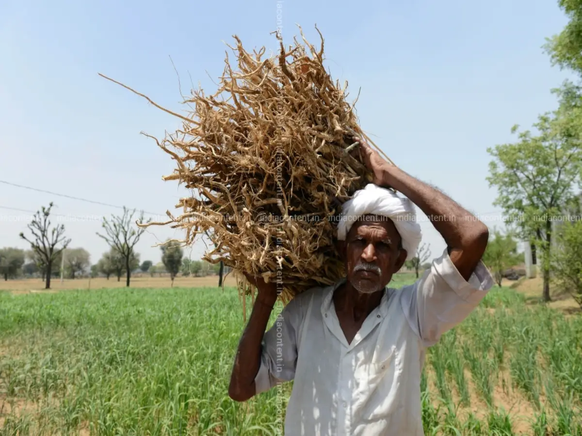 PM Kisan Samman Nidhi Yojana
