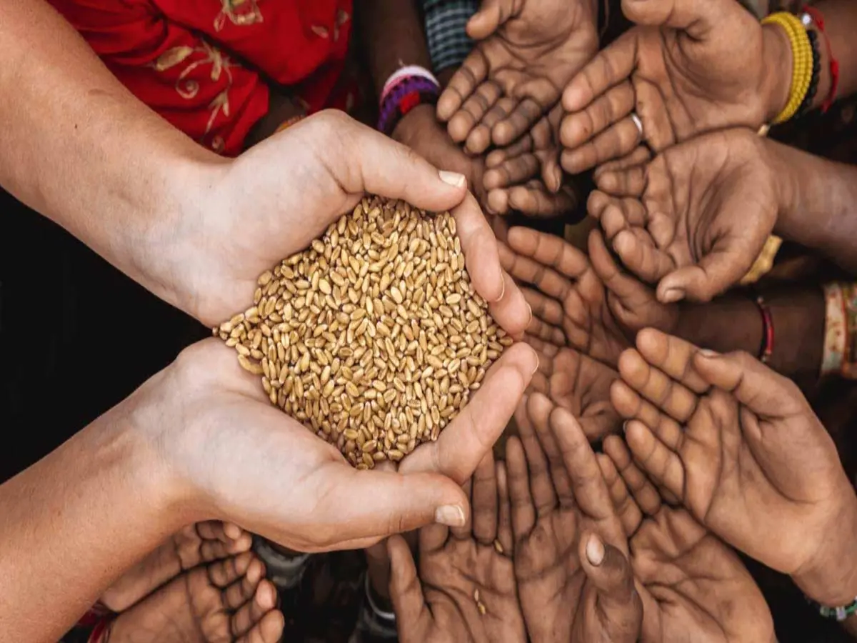 Rajasthan Makar Sankranti 2026: राजस्थान में इन चीजों ने बिना अधूरी मानी जाती है मकर संक्रांति, जानें क्या-क्या करें