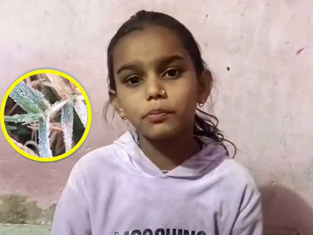 'जब आप कंबल में सो रहे होते हैं, तब हमें स्कूल जाना होता है कलेक्टर अंकल'... देखें बच्ची की मासूम गुहार