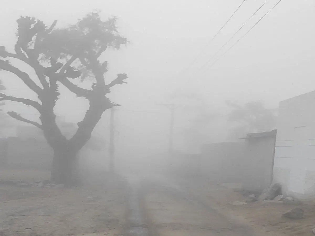 Rajasthan Weather Update: आज ठंड से कड़कड़ाएंगी लोगों की हड्डियां! इन जिलों में घने कोहरे और शीतलहर का अलर्ट जारी