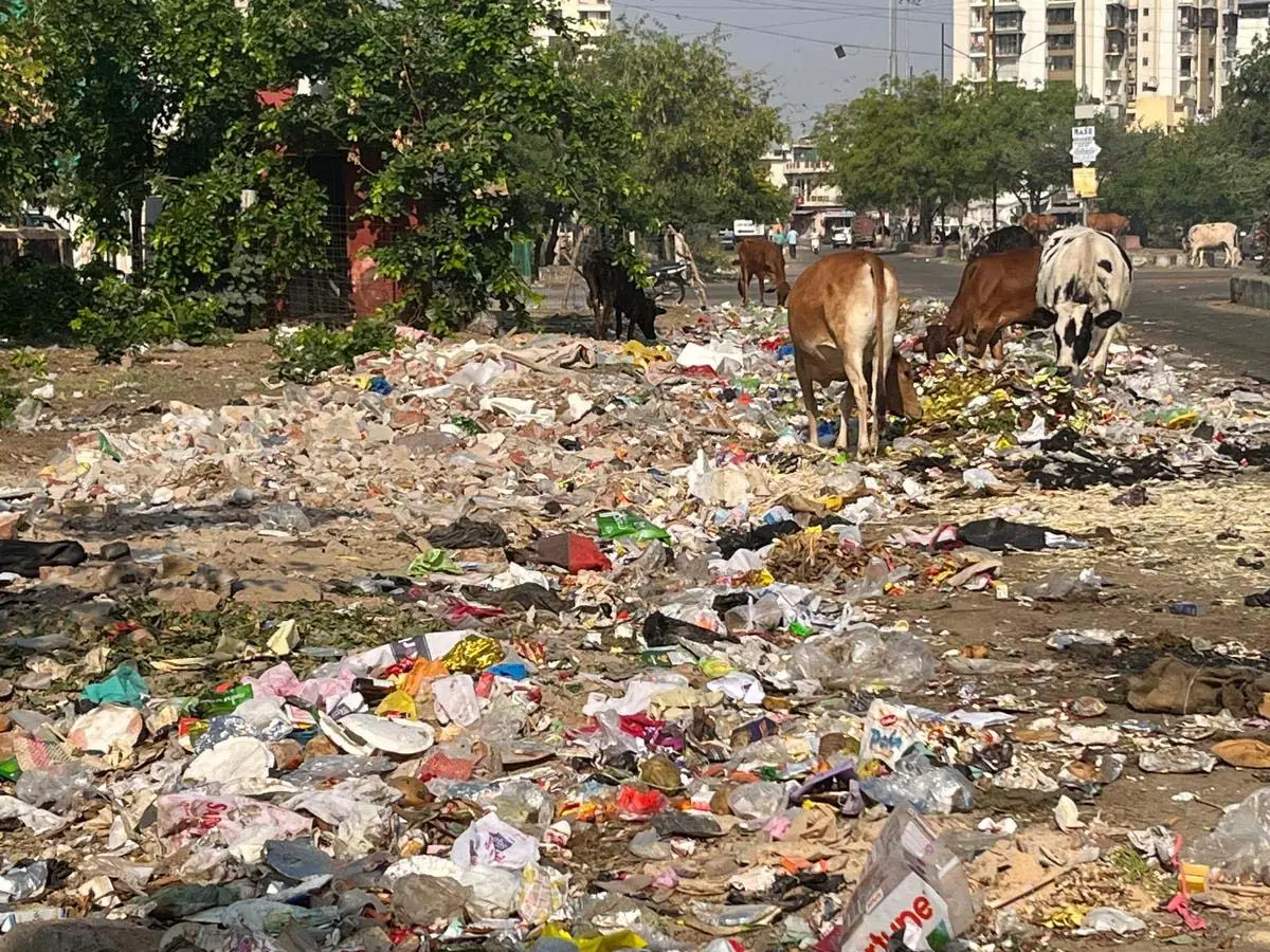 कैमरे ऑन, सफाई ऑफ, जयपुर नगर निगम के दावों पर सवाल