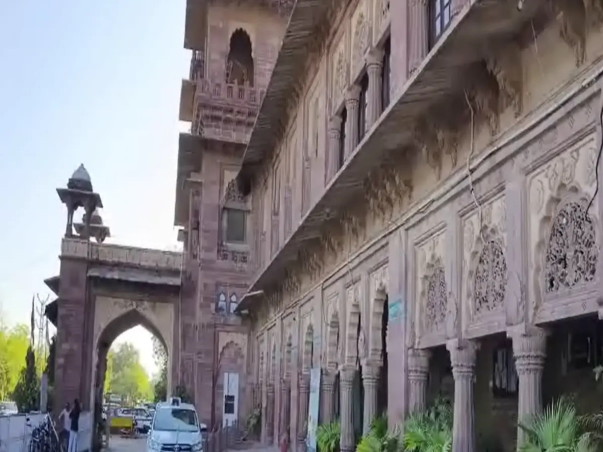 Jodhpur:  कलेक्ट्रेट की चौखट पर 'सत्ता' का छत्ता, फाइलें सो रही हैं या मधुमक्खियां?