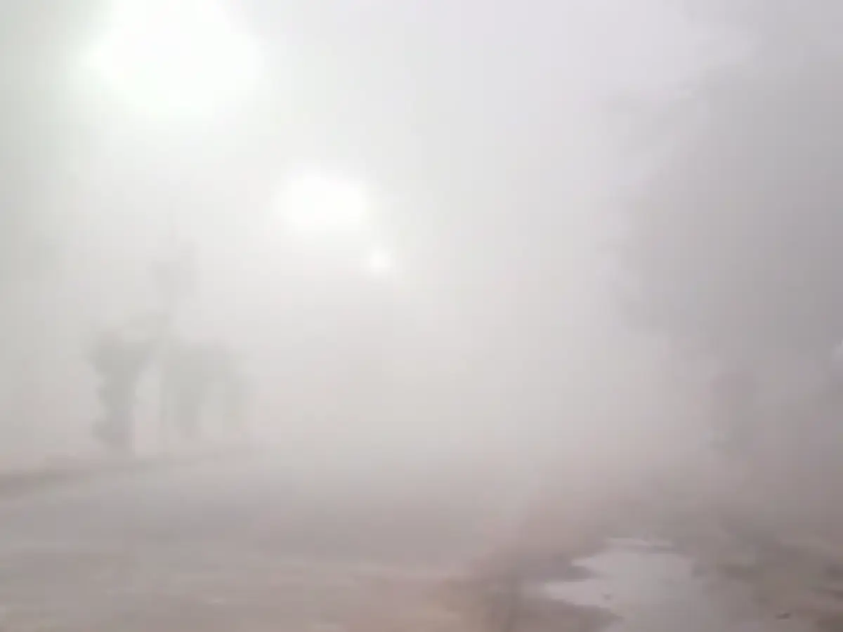 कड़ाके की ठंड से कांप उठा राजस्थान, फतेहपुर में 0.4 डिग्री पर ठहरा पारा, इस दिन से जारी हुआ बारिश का अलर्ट