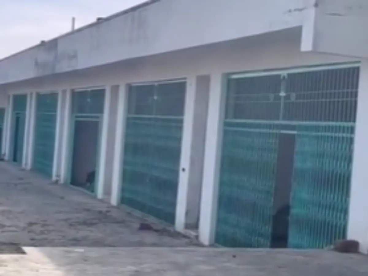 नीमकाथाना सब्जी मंडी 26 जनवरी से नई जगह शिफ्ट, 2013 से बंद नयाबास रोड मंडी में फिर लौटेगी चहल-पहल