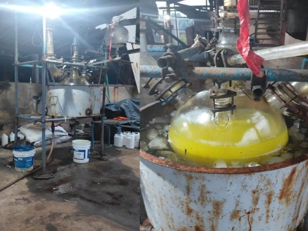 Jhalawar: डेयरी की आड़ में चल रही थी MD ड्रग्स फैक्ट्री, 25 करोड़ का सामान बरामद