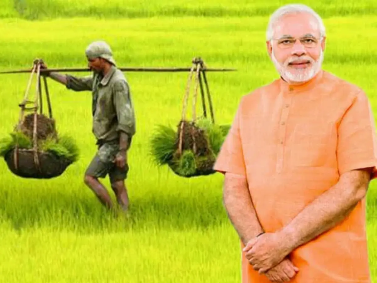 PM Kisan Samman Nidhi: राजस्थान के किसानों के लिए तैयार है सरप्राइस, बढ़ने वाला है पीएम किसान सम्मान निधि योजना का पैसा! फटाफट पढ़ लें ये लेटेस्ट अपडेट
