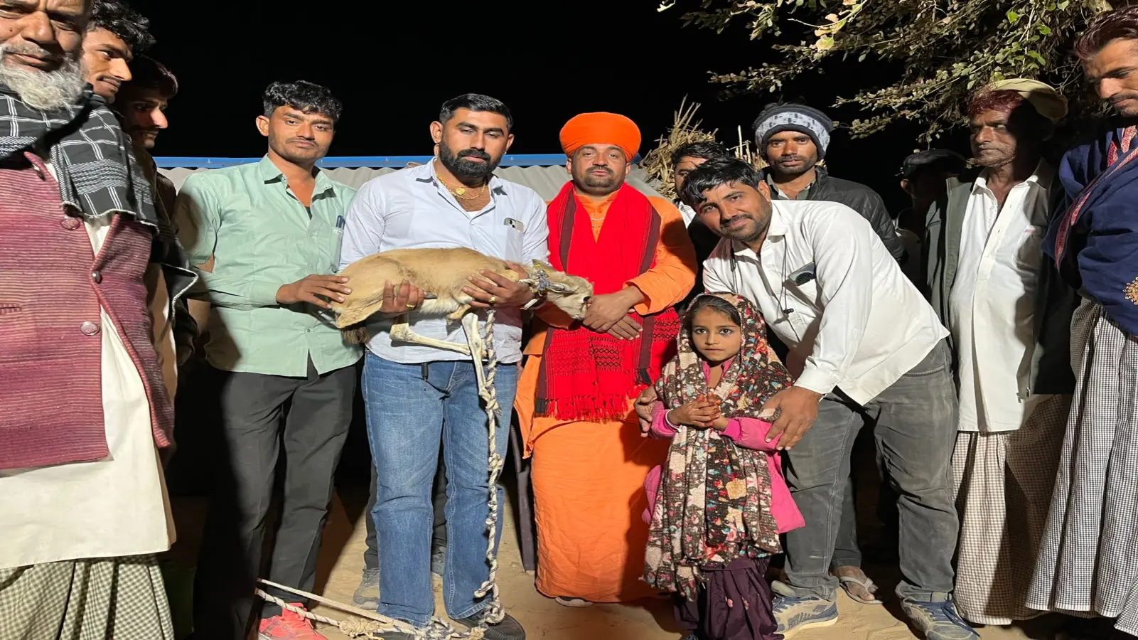 फलोदी में हिरण के बच्चे की मां बना 'मुस्लिम परिवार', दूध पिलाने के लिए खरीद लाए गाय