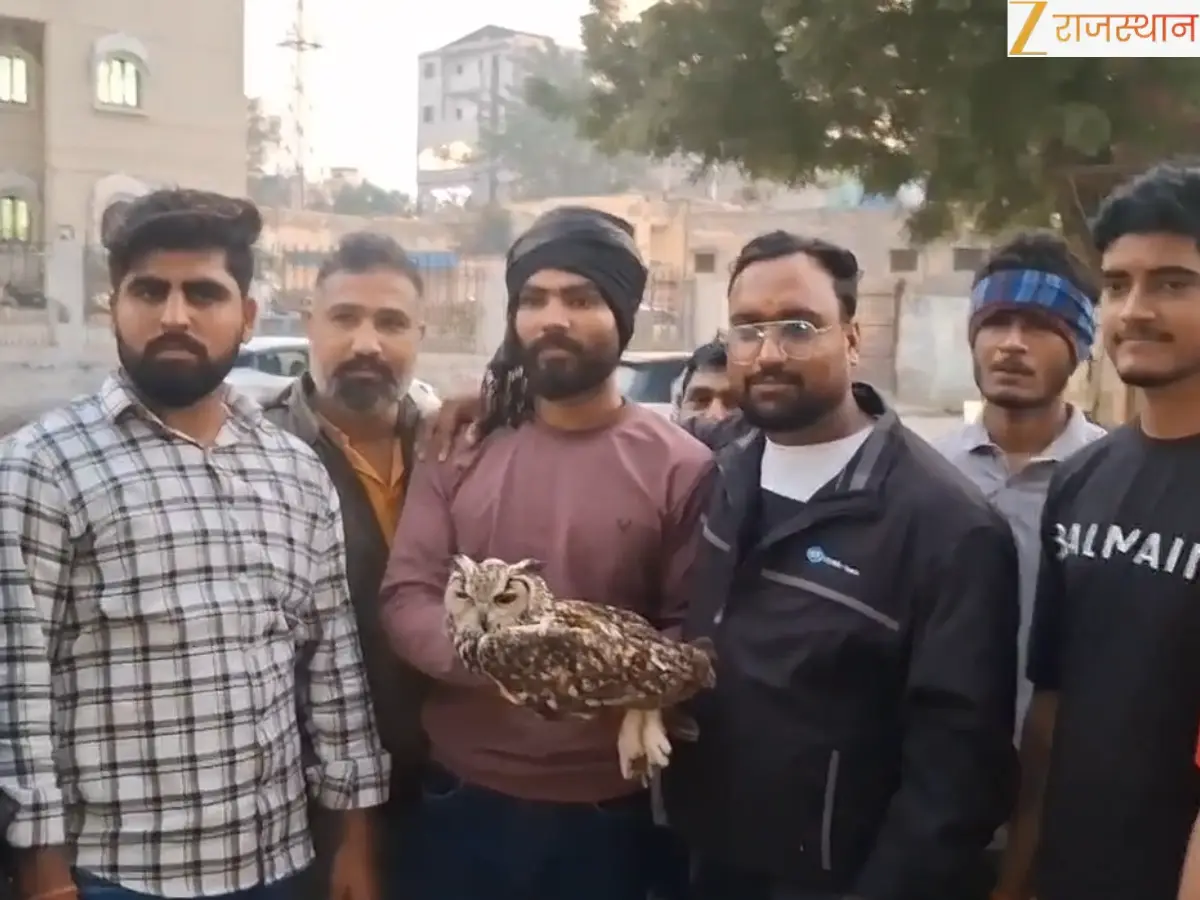 चूरू में चाइनीज मांझे का खूनी जाल, दुर्लभ उल्लू के कटे पंख