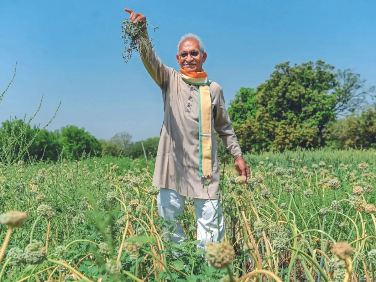 राजस्थान के किसानों की बल्ले-बल्ले! CM किसान सम्मान निधि में बढ़ेगी रकम, सरकार देने जा रही बड़ा तोहफा