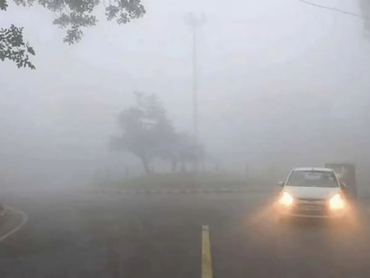 Sikar Weather Update: मौसम ने फिर ली करवट! श्रीमाधोपुर में तीन दिन बाद लौटी कड़ाके की सर्दी, घना कोहरा छाया; बारिश का येलो अलर्ट जारी