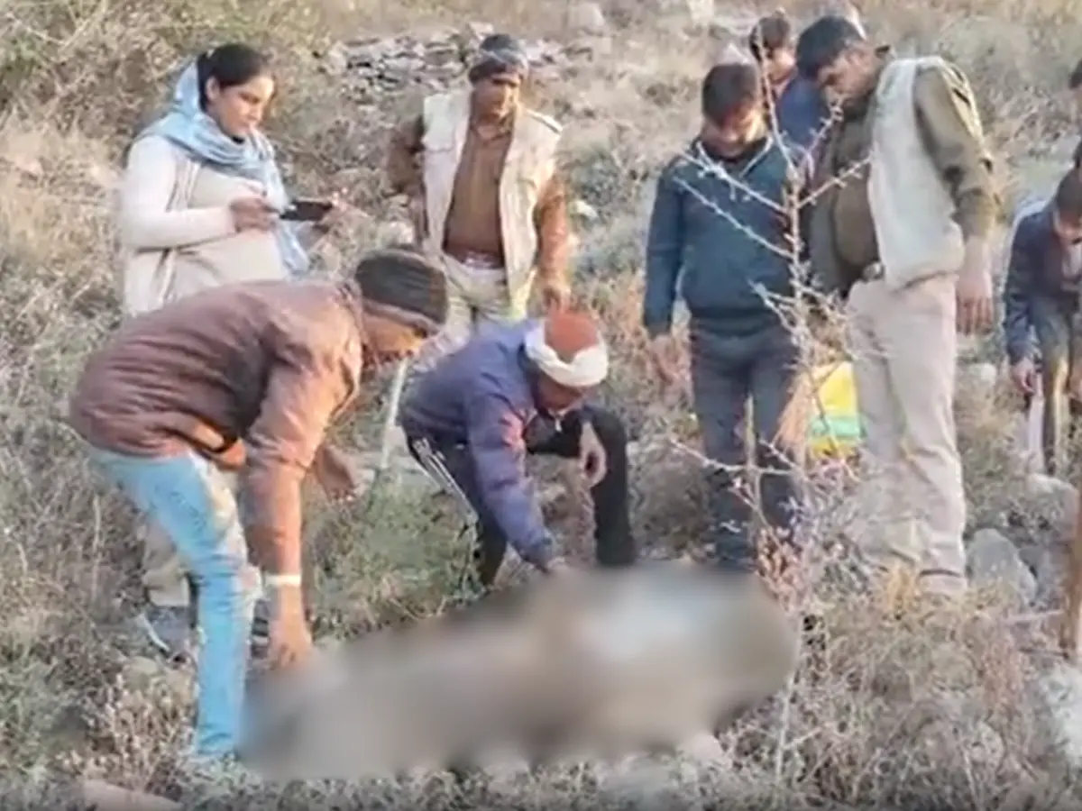 नीमकाथाना में मादा लेपर्ड का मिला शव, वन विभाग ने शुरू की जांच