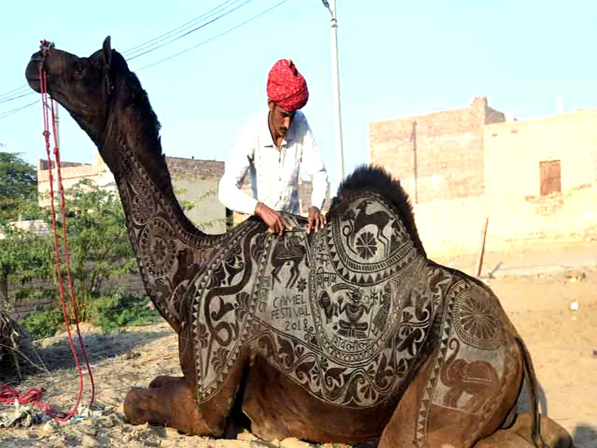 ऊंट की खाल पर सोने की चमक! जानिए क्या है बीकानेर की उस्ता कला, जिसे कहते हैं रेगिस्तान की 'सुनहरी विरासत'