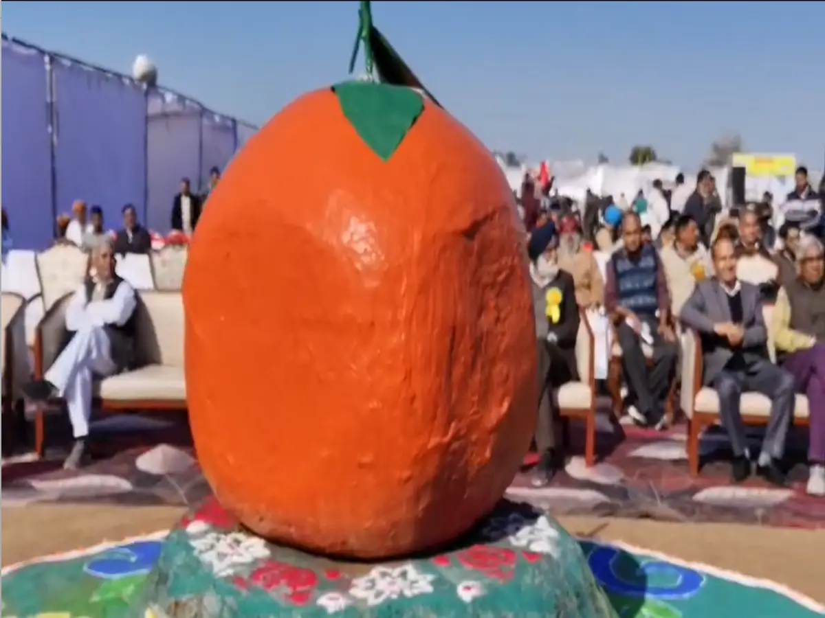 श्रीगंगानगर में किन्नू महाकुंभ हुआ शुरू, खेती की नई तकनीक देखने दूर-दूर से उमड़े किसान