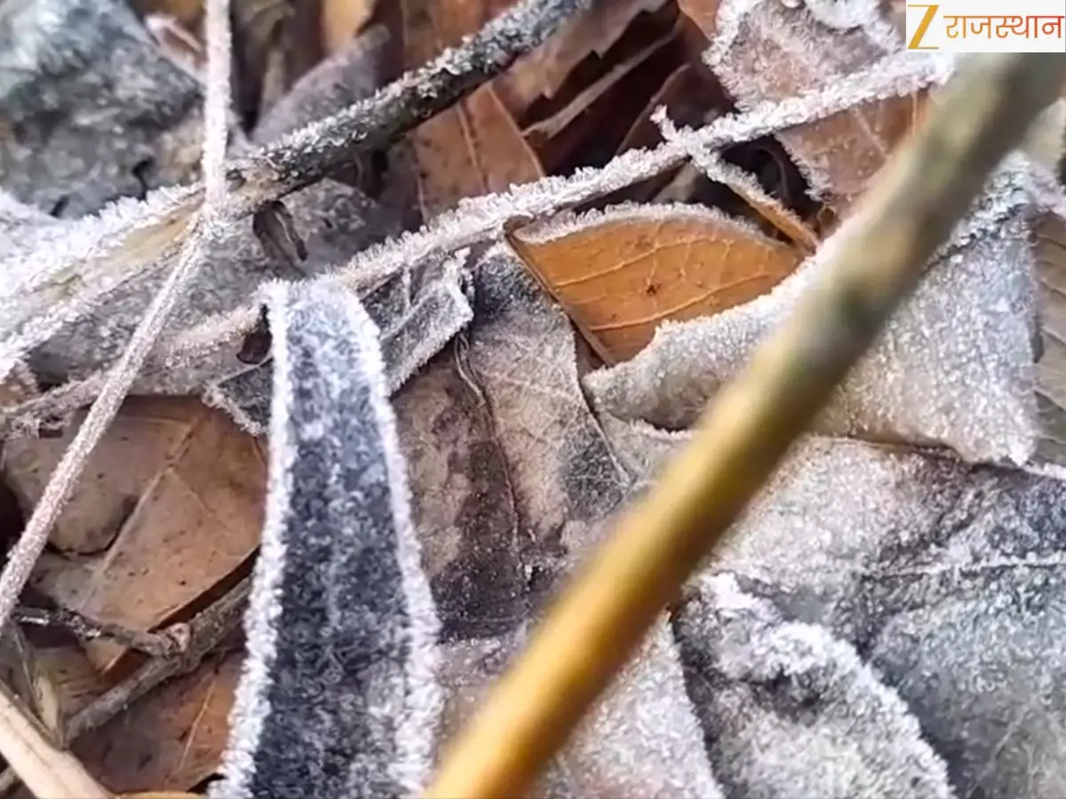 फतेहपुर में कड़ाके की ठंड जारी, लगातार दूसरे दिन माइनस में पारा, पाले से फसलों को खतरा