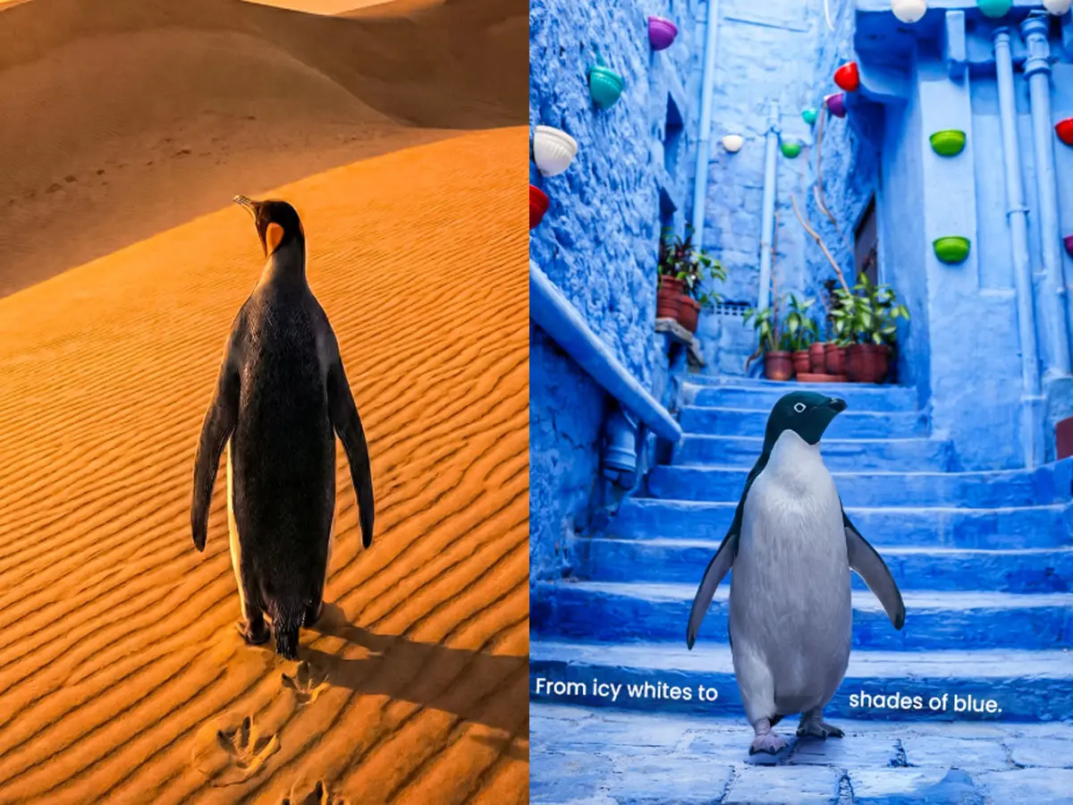 बर्फ छोड़ रेगिस्तान पहुंचा पेंगुइन! राजस्थान टूरिज्म का यह पोस्ट इंटरनेट पर मचा रहा तहलका