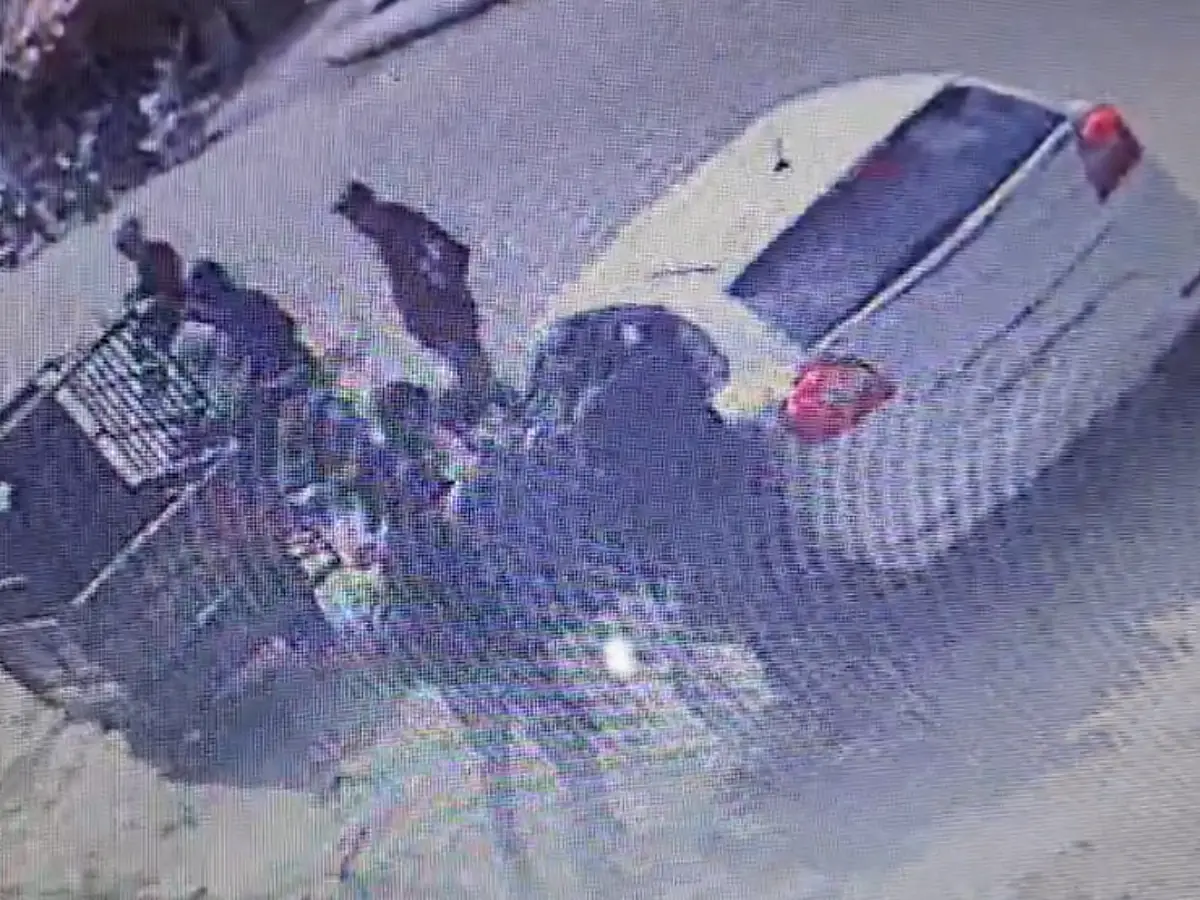 Jodhpur: जोधपुर में दिनदहाड़े लड़के का अपहरण, MH नंबर की गाड़ी का राजस्थान किडनैपिंग से कनेक्शन, Video Viral